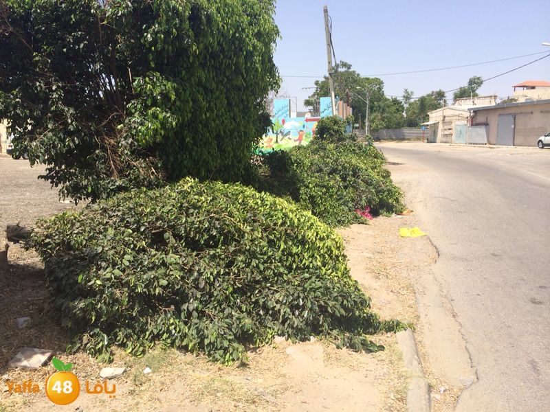 kenan 7ashouna 0503 (8).JPG